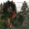 Cinde's Best Trees - Precut Christmas Trees gallery