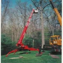 Landmark Tree and Lawn Care - Arborists