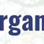 Morgan Auto Parts