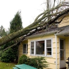 Elevated Tree Service