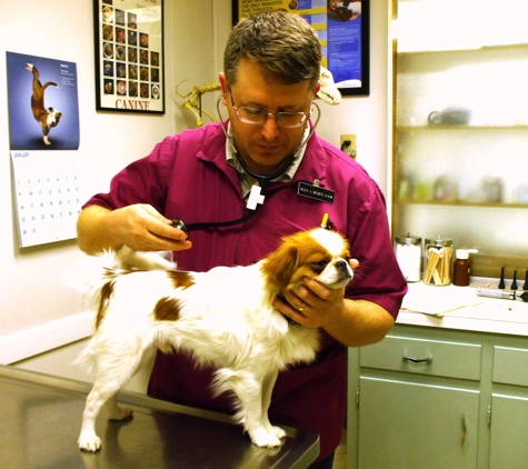 Beach Park Animal Clinic - Tampa, FL