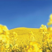 Gallery Image Number 1