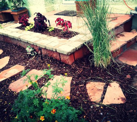 Discover Your Garden, LLC - Lakewood, CO