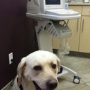 South Mountain Pet Care - Veterinary Clinics & Hospitals