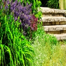 Z-Landscapes - Landscape Designers & Consultants