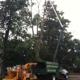 Fields Tree Service, L.L.C.