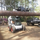 McKenzie's Tree Service Inc - Tree Service