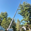 Martel Crane Service & Tree Removal gallery