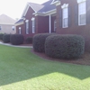 Clean Cut Lawns LLC gallery