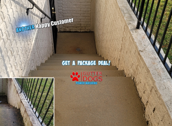 GUTTERDOGS Affordable Soft Power Washing & Safe Roof Cleaning Maryland - District Heights, MD