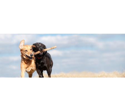 Stawell Veterinary Clinic - Stawell, VIC