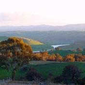 Gallery Image Number 5