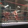 Nywc gallery