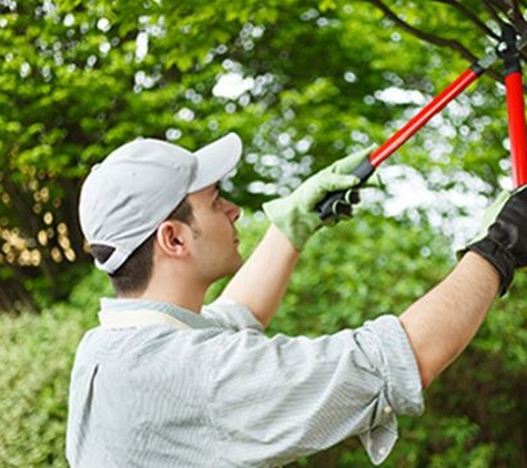 Bob McGrath's Tree Service - Blue Bell, PA