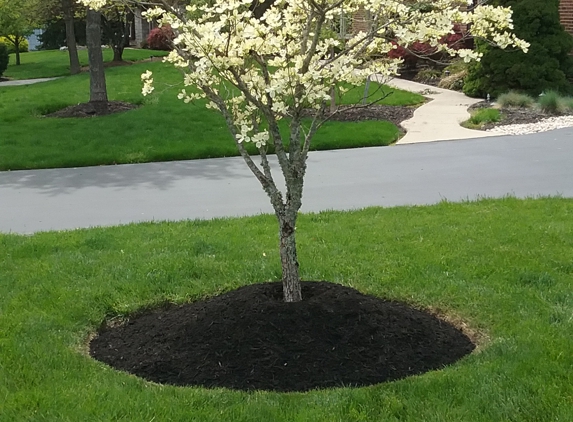 Landen's Landscape & Lawn Service - Dublin, PA