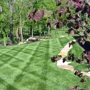 Augusta Lawns LLC