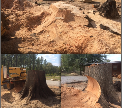 B & R Stump Grinding - Alexandria, LA