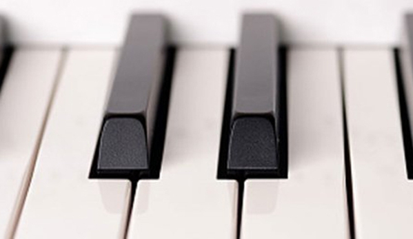Fletcher Pianos - Belmont, NSW