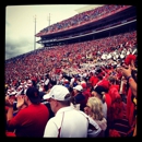 Papa John's Cardinal Stadium - Pizza