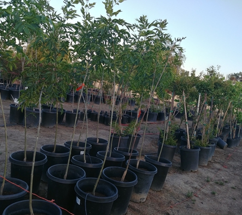 Jonnhy's Nursery - Tulare, CA