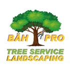 BAH Pro Tree Service