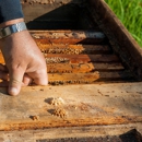 Gillson Pest Control - Pest Control Services