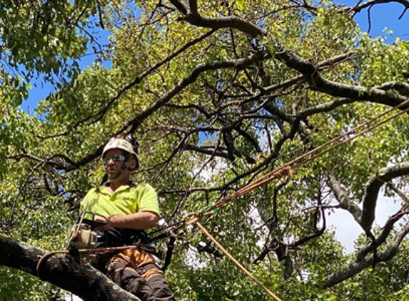 Hunter TLC Tree & Lawn Care