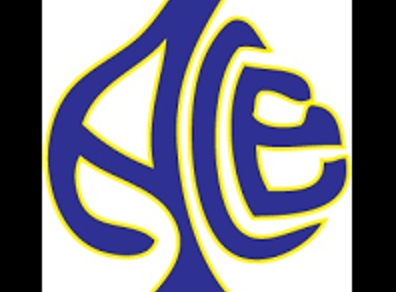 Auto Care European - Addison, TX. Our ACE (Auto Care European) Logo