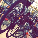 Big Wheel Bikes - Bicycle Shops