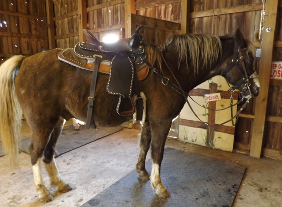 Black Water Stables - Plainfield, IN