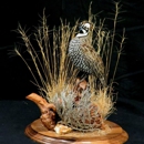 Arizona Wings Taxidermy - Bird Taxidermy - Taxidermists