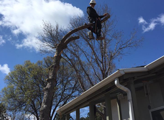 King Tree Service - Colorado Springs, CO