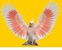 Canley Heights Veterinary Clinic - Veterinary Surgeons