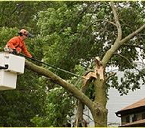 Arbortech Tree Care - Macomb, MI