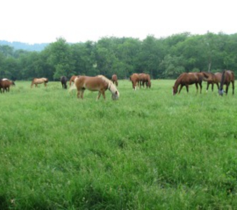 GilMar Stables Inc - Eighty Four, PA