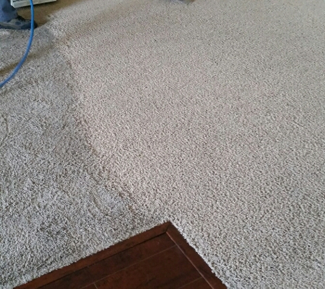 Elite Carpet Cleaning - San Jose, CA