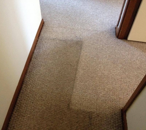 Z Best Carpet Care