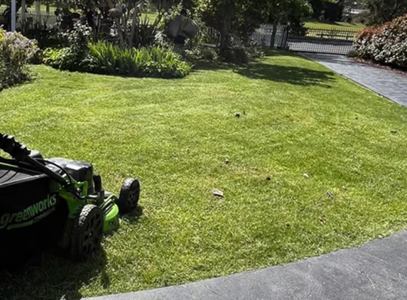 Local Yard Master