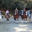 Marlowe Show Stables - Horse Training