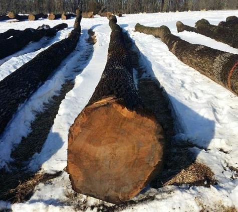 Olson Logging - Monroe, WI