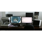 Gallery Image Number 2