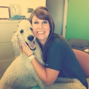 Summerville Animal Hospital - Veterinarians