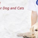 Ina Road Animal Hospital - Veterinarians