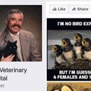Leck Veterinary - Veterinarians