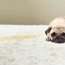 Dye Pro Carpet Restoration & Dyeing - Carpet & Rug Dyers