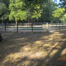 Bayou Meto Stables - Horse Training