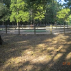 Bayou Meto Stables