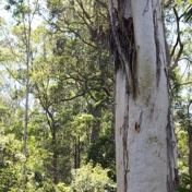 Gallery Image Number 6