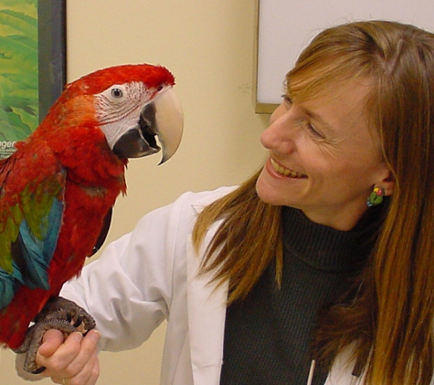 Avian And Exotic Animal Care - Raleigh, NC