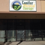 Conifer Physical Therapy